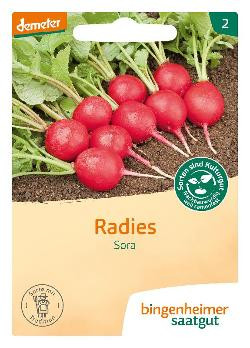 Produktfoto zu Saatgut Radies Sora