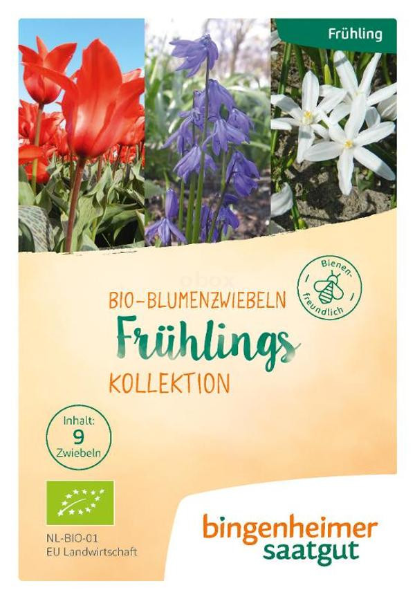 Produktfoto zu Frühlings Kollektion Blumenzwiebeln