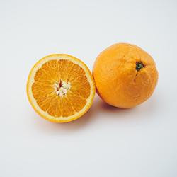 Produktfoto zu Orangen