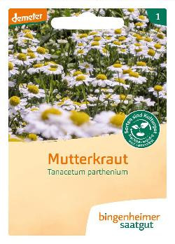 Produktfoto zu Saatgut Mutterkraut