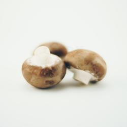 Produktfoto zu Stein-Champignons