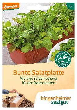 Produktfoto zu Saatgut Bunte Salatplatte, Saatplatte