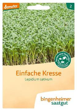 Produktfoto zu Saatgut Einfache Kresse