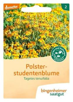 Produktfoto zu Saatgut Polsterstudentenblume