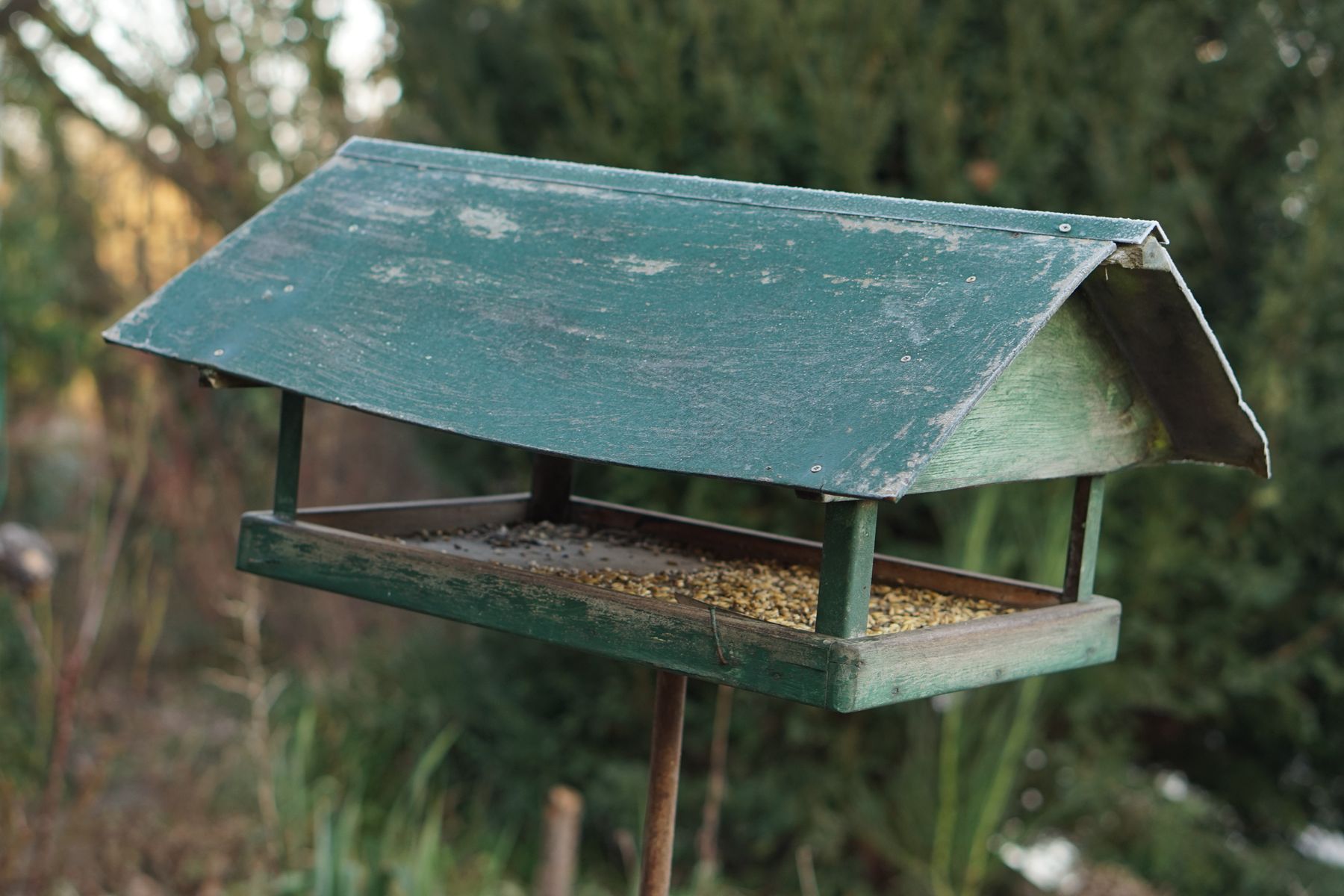 Vogelhäuschen im Wintergarten