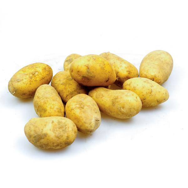 Produktfoto zu Kartoffeln Belana festkochend 10kg