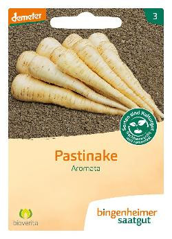 Produktfoto zu Saatgut Pastinake Aromata