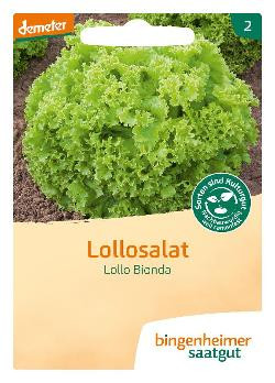 Produktfoto zu Saatgut Lollosalat Lollo Bionda