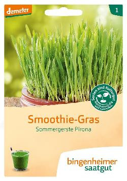 Produktfoto zu Saatgut Smoothie-Gras