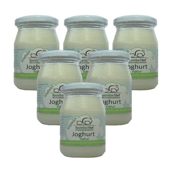 Produktfoto zu Schafjoghurt 6x 250g Kiste