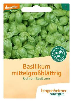 Produktfoto zu Saatgut Basilikum mittelgroßblättrig