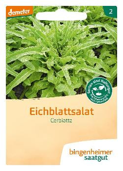 Produktfoto zu Saatgut Eichblatt Cerbiatta