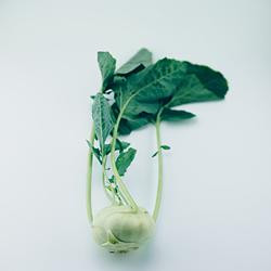 Produktfoto zu Kohlrabi weiß