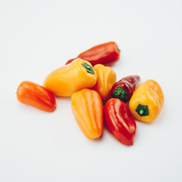 Produktfoto zu Mini Paprika Mix