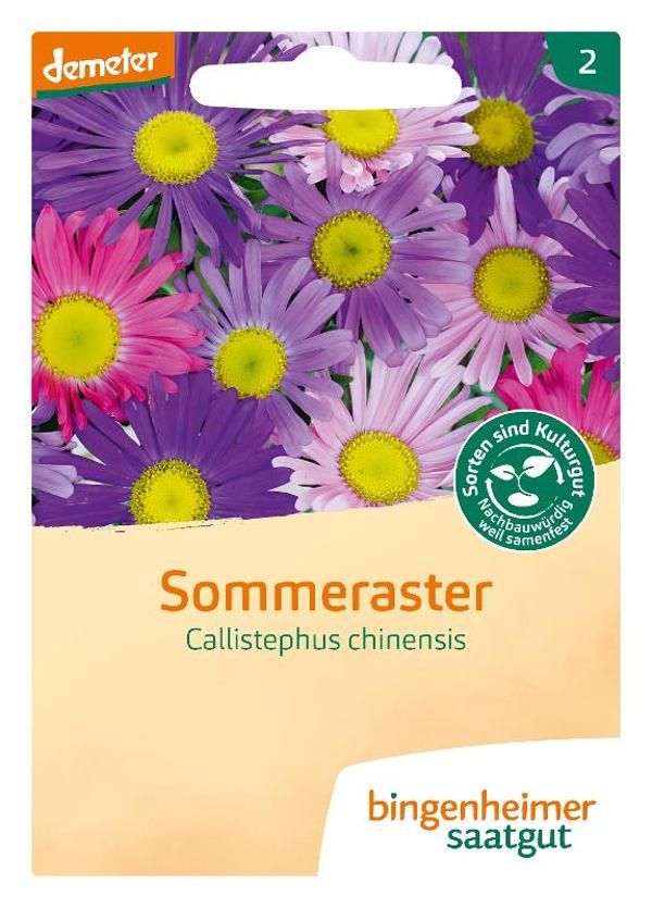 Produktfoto zu Saatgut Sommeraster