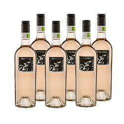 Produktfoto zu 6 x 0,75l Pinot Grigio Rosé 'Blush' IGT La Jara, Rosewein trocken