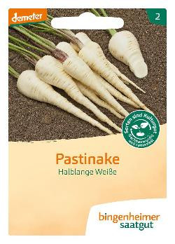 Produktfoto zu Saatgut Pastinake Halblange Weiße