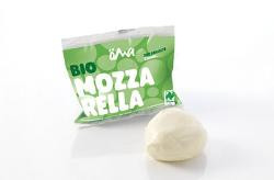 Produktfoto zu Mozzarella 100g