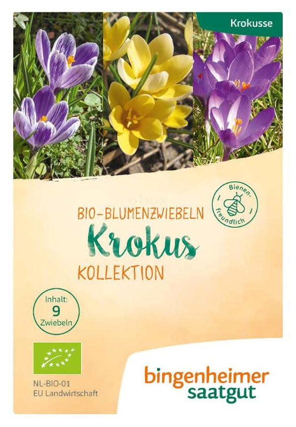 Produktfoto zu Krokus Kollektion Blumenzwiebeln