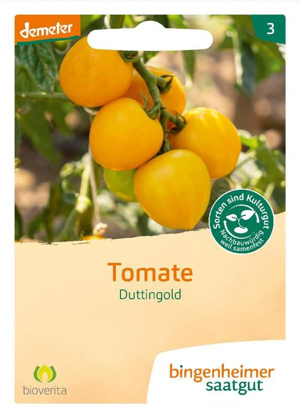 Produktfoto zu Saatgut Tomate Duttingold