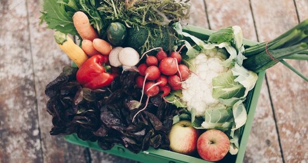 Grünland Bioladen und Lieferdienst Biokiste mit frischem Obst und Gemüse