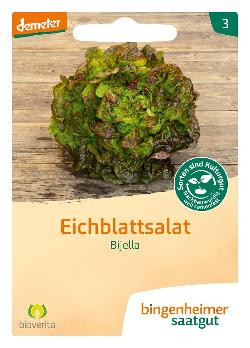 Produktfoto zu Saatgut Eichblattsalat Bijella