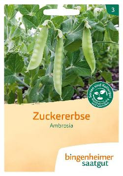 Produktfoto zu Saatgut Zuckererbse Ambrosia