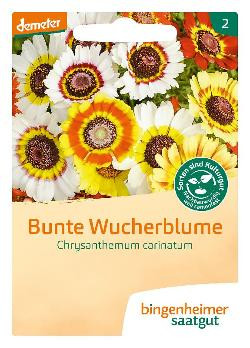 Produktfoto zu Saatgut Bunte Wucherblume