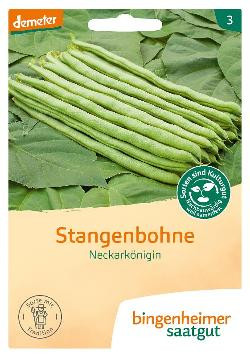 Produktfoto zu Saatgut Stangenbohne Neckarkönigin