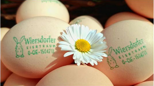 Die Bio-Eier aus Wiersdorf haben einen individuellen Stempel