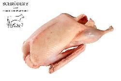 Produktfoto zu Gans 3,8 -bis 4,8kg