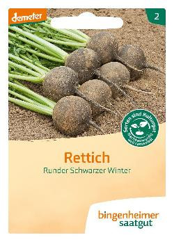 Produktfoto zu Saatgut Rettich, Runder Schwarzer Winter