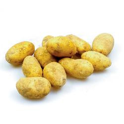 Produktfoto zu Kartoffeln Belana festkochend 2kg